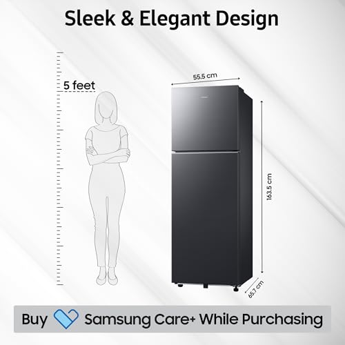 Samsung 256 L, 3 Star