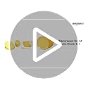 Signoraware Round Plastic Dinner Set, 21 Pieces, Lemon Yellow - Image 2