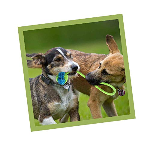 Dogista Durable Big TUG Knotted