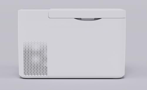 Philips Automotive Car Frost Free