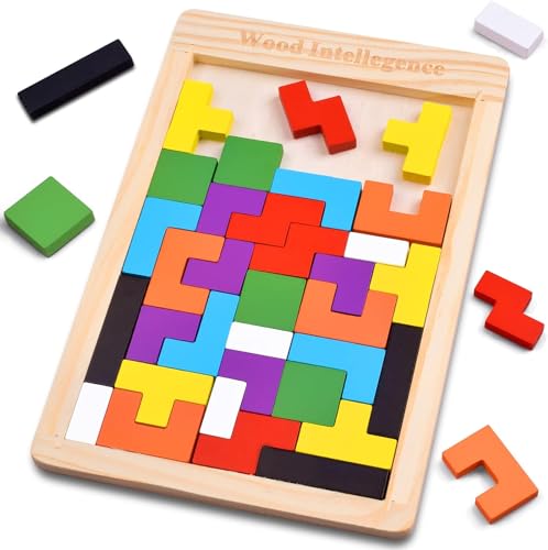 SHINETOY Wooden Tangram Puzzle
