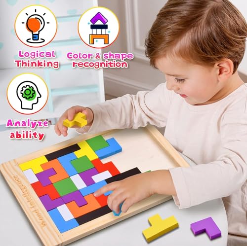 SHINETOY Wooden Tangram Puzzle