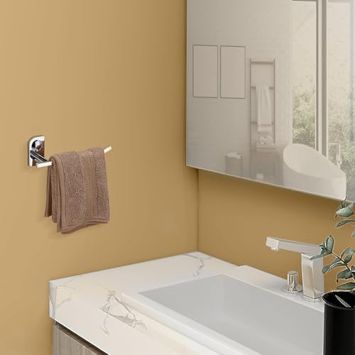 Plantex Stainless Steel Napkin Hanger