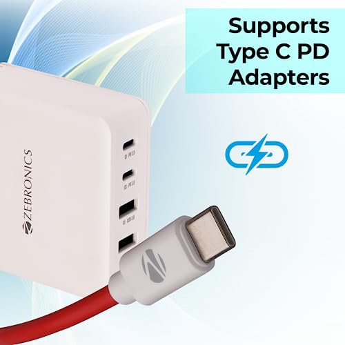 ZEBRONICS Tt65 Type C