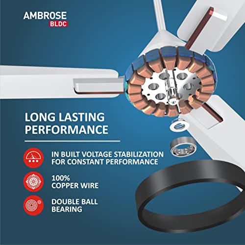 Havells 1200mm Ambrose BLDC Motor
