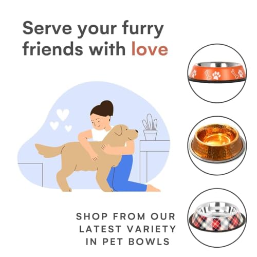 PremiumAV Stainless Steel Pet Bowl