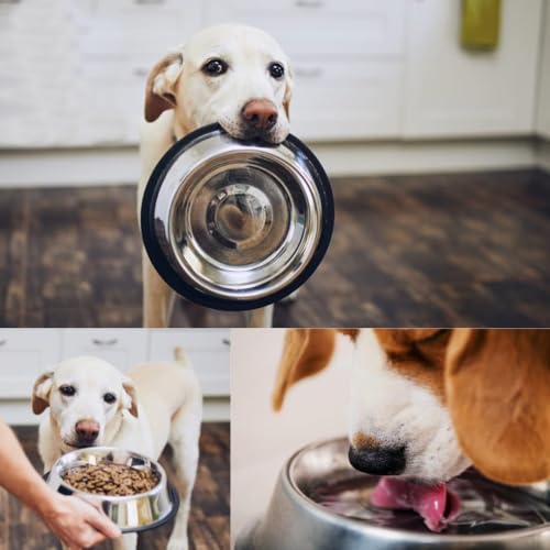 PremiumAV Stainless Steel Pet Bowl