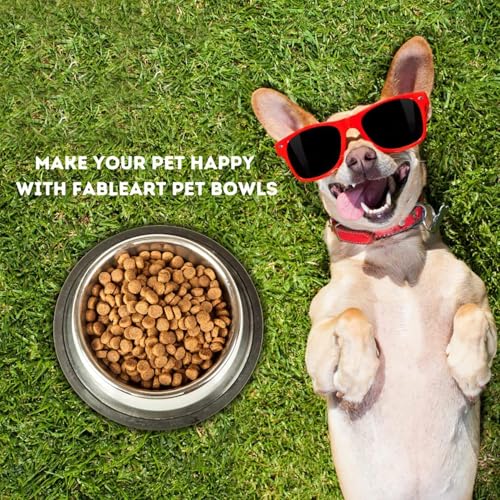 PremiumAV Stainless Steel Pet Bowl