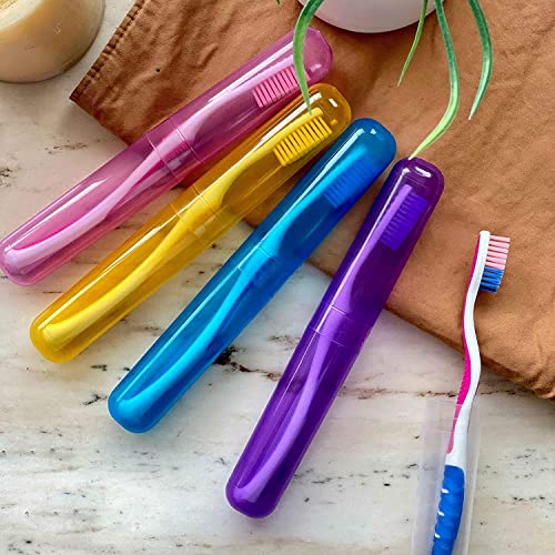 Stewit Premium Toothbrush Container Toothbrush