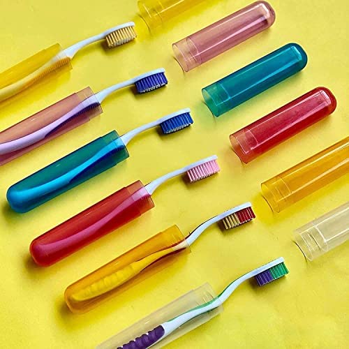 Stewit Premium Toothbrush Container Toothbrush