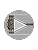 Giordano Trendy Slim Analog Watch