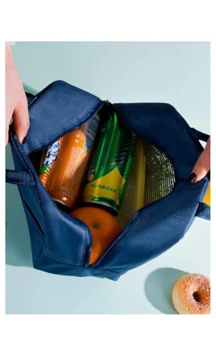 EUFLORIA Insulated Travel Lunch/Tiffin/Storage Bag