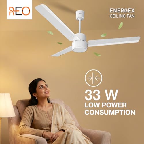 REO By Havells BLDC 1200MM