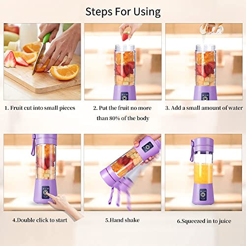 SnQ 6 Blade Smoothie Maker