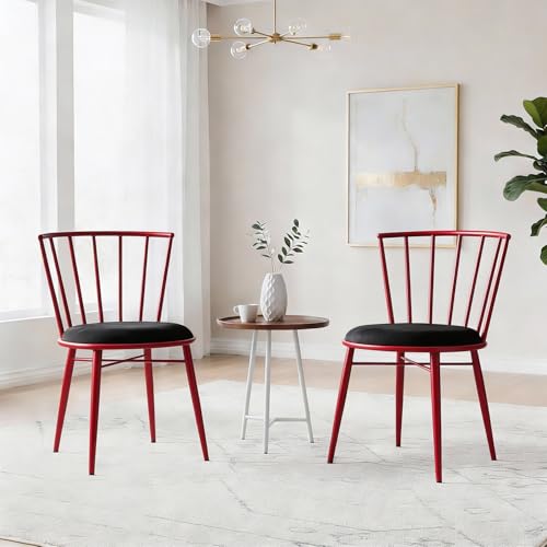 Amazon Brand- Solimo Iron Chair