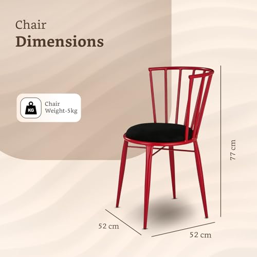 Amazon Brand- Solimo Iron Chair