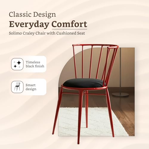Amazon Brand- Solimo Iron Chair