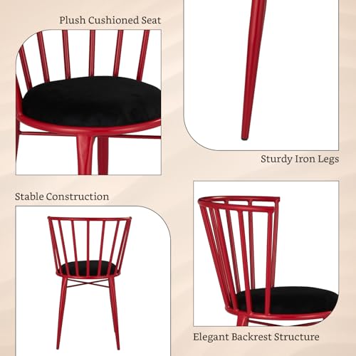 Amazon Brand- Solimo Iron Chair