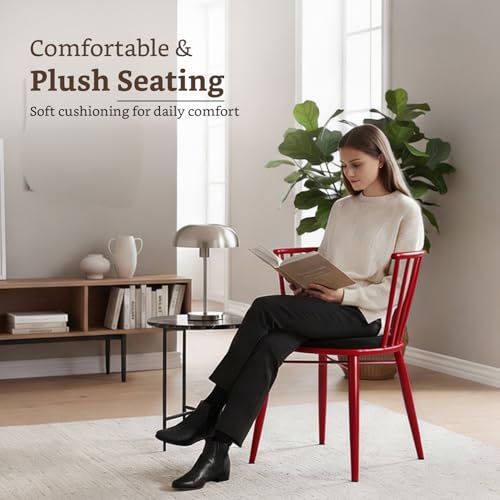 Amazon Brand- Solimo Iron Chair