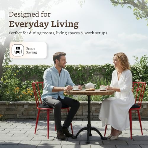 Amazon Brand- Solimo Iron Chair