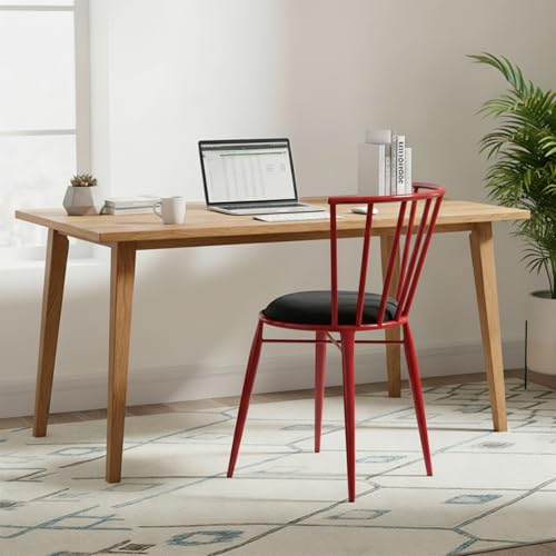 Amazon Brand- Solimo Iron Chair