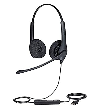 Jabra Biz 1100 Duo USB