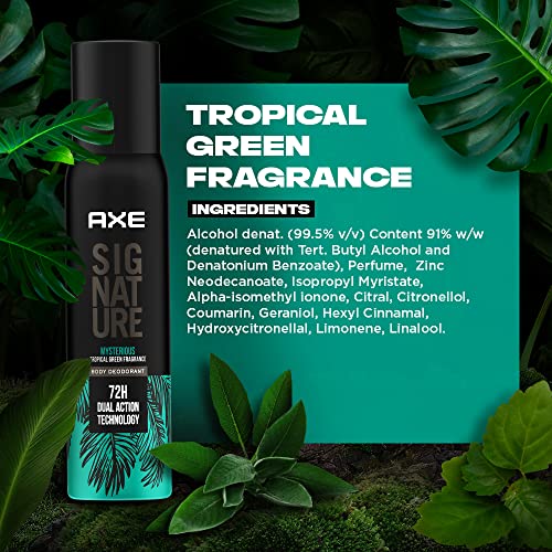 AXE Signature Mysterious Long Lasting
