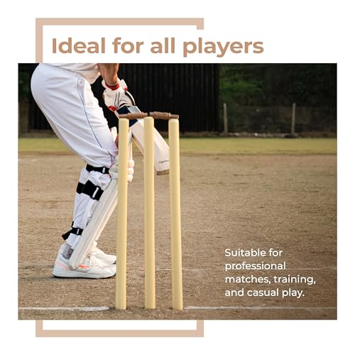 Lifelong Cricket Stumps Set