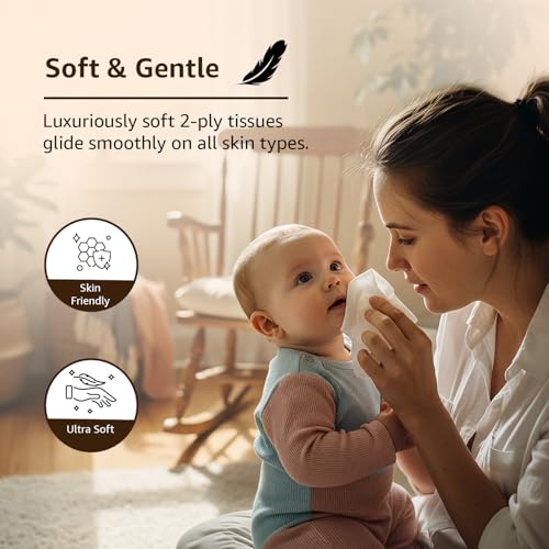 Amazon Basics 2 Ply Facial