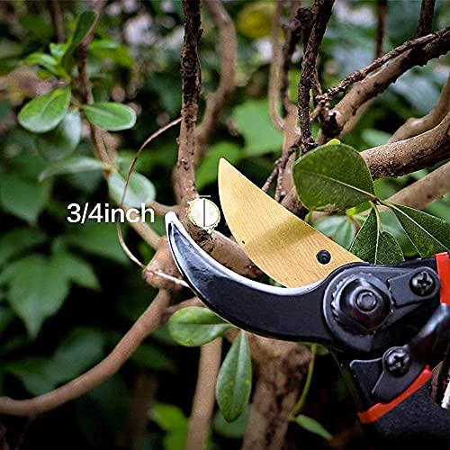 Boniry 8 Inch Heavy Duty