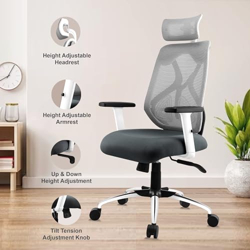 ASTRIDE Ergofit Ergonomic Office Chair