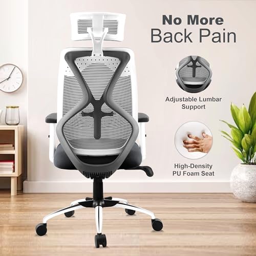 ASTRIDE Ergofit Ergonomic Office Chair