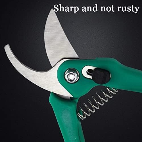 Multipurpose Gardening Scissors & Green