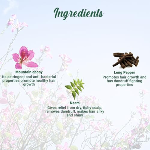 Biotique Bio Mountain Ebony Vitalizing
